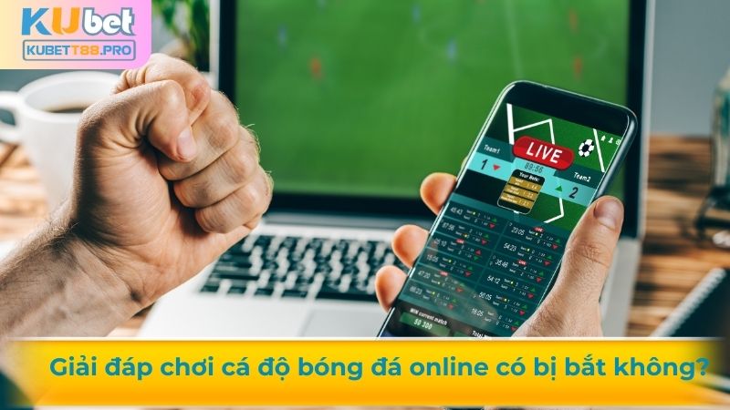 Giải đáp chơi cá độ bóng đá online có bị bắt không?