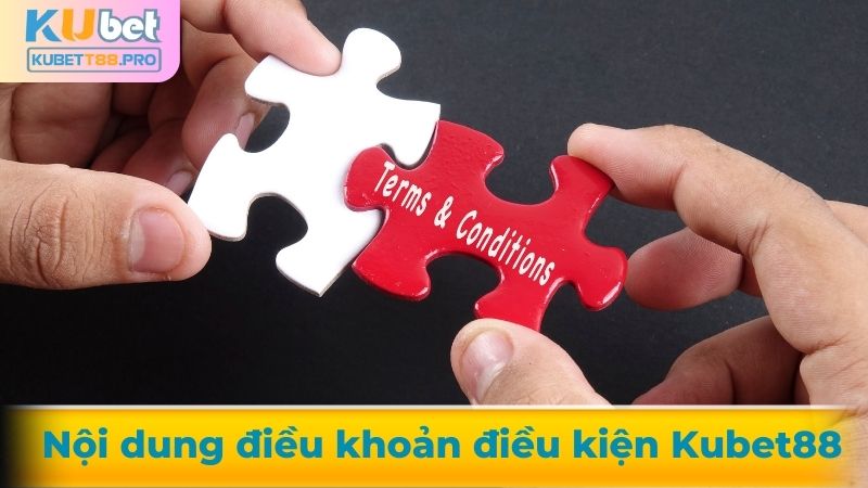 Nội dung điều khoản điều kiện Kubet88